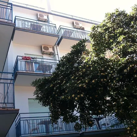 Hotel Canova 3*